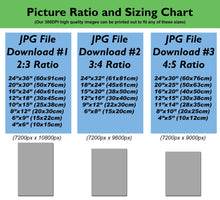 Load image into Gallery viewer, Picture Ratio Sizing Chart. 2:3 ratio, 3:4 ratio ands 4:5 ratio. Accommodates popular image sizes such as 12 x 18, 10 x 15, 15 x 20, 12 x 16, 9 x 12, 12 x 15, 11 x 14 and 8 x 10.
