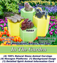 Load image into Gallery viewer, Spirit Animal Worlds - Hand Carved Collections of Natural Stone Figurines with Display Stands and Spirit Animals Information Card