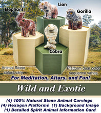 Load image into Gallery viewer, Spirit Animal Worlds - Hand Carved Collections of Natural Stone Figurines with Display Stands and Spirit Animals Information Card