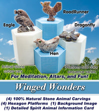 Load image into Gallery viewer, Spirit Animal Worlds - Hand Carved Collections of Natural Stone Figurines with Display Stands and Spirit Animals Information Card
