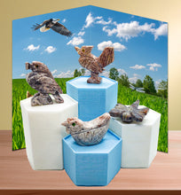 Load image into Gallery viewer, Spirit Animal Worlds - Hand Carved Collections of Natural Stone Figurines with Display Stands and Spirit Animals Information Card
