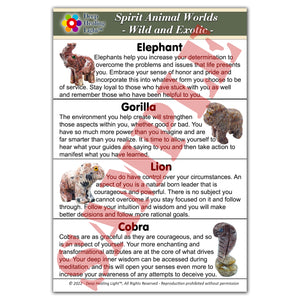 Spirit Animal Worlds - Hand Carved Collections of Natural Stone Figurines with Display Stands and Spirit Animals Information Card