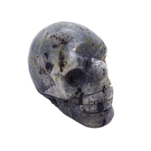 Crystal Skulls - 2 inch Natural Stone Skulls for Meditation Room, Altars and Home Decor