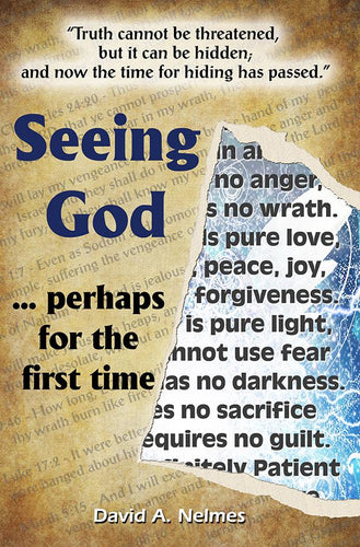 Seeing God, Perhaps for the First Time - Questioning your Beliefs? Questioning the Bible? Softcover Version