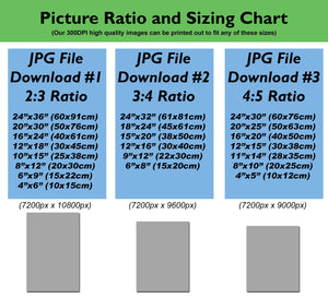 Picture Ratio Sizing Chart. 2:3 ratio, 3:4 ratio ands 4:5 ratio. Accommodates popular image sizes such as 12 x 18, 10 x 15, 15 x 20, 12 x 16, 9 x 12, 12 x 15, 11 x 14 and 8 x 10.